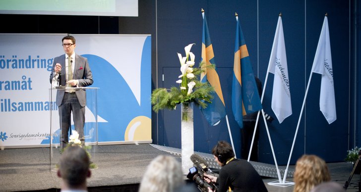 Jens Leandersson, Björn Söder, Mikael Eskilandersson, Sverigedemokraterna